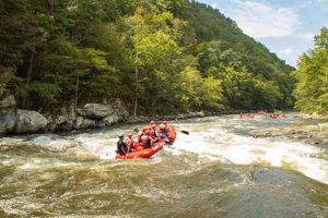 Thrilling White Water Rafting in Smoky Mountains + Tips! | Your Ultimate Guide to Rafting Adventures, Gear & River Trips