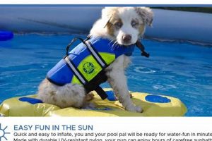 Safe Dog Raft for River Adventures - [Brand Name] | Your Ultimate Guide to Rafting Adventures, Gear & River Trips