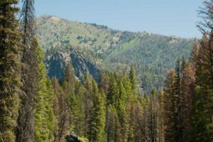 Explore Idaho Rafting Trips: Adventures Await! | Your Ultimate Guide to Rafting Adventures, Gear & River Trips