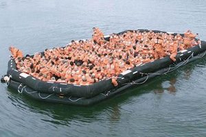 Best West Marine Life Raft: Safety & Survival | Your Ultimate Guide to Rafting Adventures, Gear & River Trips