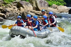 Youghiogheny White Water Rafting: Your Thrilling Guide! | Your Ultimate Guide to Rafting Adventures, Gear & River Trips