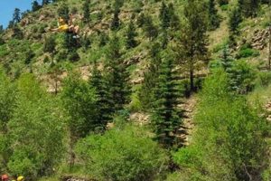 Your Guide: White Water Rafting Near Vail, CO Adventures! | Your Ultimate Guide to Rafting Adventures, Gear & River Trips