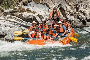 Rogue River Raft Trips: Your Ultimate Adventure Guide | Your Ultimate Guide to Rafting Adventures, Gear & River Trips