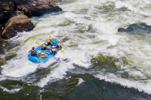 Lower New River Gorge Rafting: Your Complete Guide | Your Ultimate Guide to Rafting Adventures, Gear & River Trips