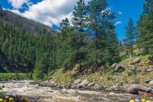 Guide to Fort Collins River Rafting + Trips & Tours | Your Ultimate Guide to Rafting Adventures, Gear & River Trips
