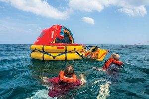 Ocean Oasis: Marine Life Raft Wonders & Threats | Your Ultimate Guide to Rafting Adventures, Gear & River Trips