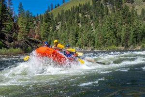 Idaho White Water Rafting on the Salmon River - Trip Guide | Your Ultimate Guide to Rafting Adventures, Gear & River Trips