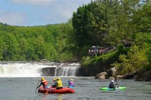 Experience Ohiopyle Whitewater Rafting | Thrills & Tours | Your Ultimate Guide to Rafting Adventures, Gear & River Trips