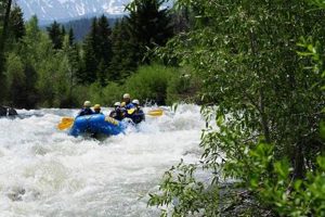 Experience AVA Rafting in Idaho Springs, CO: Adventure Awaits! | Your Ultimate Guide to Rafting Adventures, Gear & River Trips