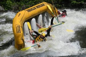 Learn How to Whitewater Raft: A Beginner's Guide + Tips! Your Ultimate Guide to Rafting Adventures, Gear & River Trips Learn How to Whitewater Raft: A Beginner's Guide + Tips! | Your Ultimate Guide to Rafting Adventures, Gear & River Trips