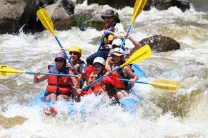 Experience Nile White Water Rafting: Adventure Awaits! | Your Ultimate Guide to Rafting Adventures, Gear & River Trips
