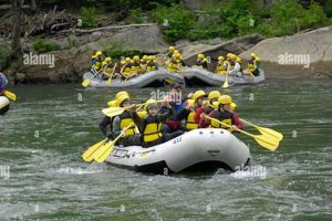 Ohiopyle White Water Rafting Death: Risks & Safety Tips | Your Ultimate Guide to Rafting Adventures, Gear & River Trips
