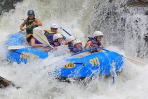 Experience Wild Water Rafting Adventures Today! | Your Ultimate Guide to Rafting Adventures, Gear & River Trips