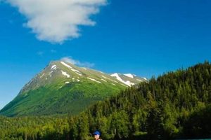 Explore Alaska Rafting Trips: Adventures Await! | Your Ultimate Guide to Rafting Adventures, Gear & River Trips