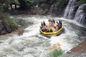 Thrilling White Water Rafting at Six Flags Parks: Info &amp; Tips | Your Ultimate Guide to Rafting Adventures, Gear & River Trips