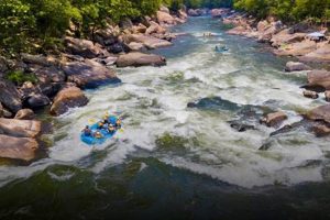 Thrilling WV Whitewater Rafting: Your Guide to Adventure | Your Ultimate Guide to Rafting Adventures, Gear & River Trips