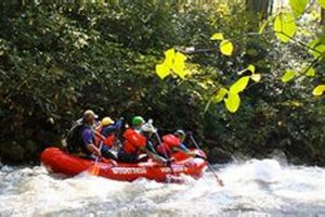 Maryland's Whitewater Rafting: Deep Creek Thrills & Adventure! | Your Ultimate Guide to Rafting Adventures, Gear & River Trips