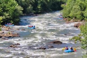 Experience the Thrill: Middle Ocoee River Whitewater Rafting! | Your Ultimate Guide to Rafting Adventures, Gear & River Trips