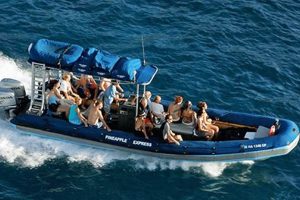 Best Blue Water Rafting: Tips &amp; Trips | Your Ultimate Guide to Rafting Adventures, Gear & River Trips