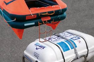Essential Life Raft Equipment: Your Survival Guide | Your Ultimate Guide to Rafting Adventures, Gear & River Trips