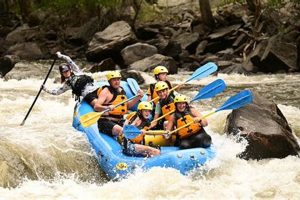 Poudre River Rafting Death: Safety & Prevention | Your Ultimate Guide to Rafting Adventures, Gear & River Trips