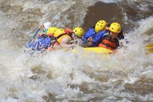 New Mexico White Water Rafting: Thrills & Scenic Rivers | Your Ultimate Guide to Rafting Adventures, Gear & River Trips