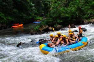 Bali Ayung River Rafting Adventure: Thrills & Views! | Your Ultimate Guide to Rafting Adventures, Gear & River Trips