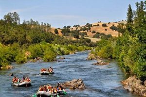 Thrilling Whitewater Rafting Sacramento Adventure! | Your Ultimate Guide to Rafting Adventures, Gear & River Trips