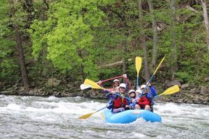 Experience Nolichucky Whitewater Rafting: Thrills & Adventure | Your Ultimate Guide to Rafting Adventures, Gear & River Trips