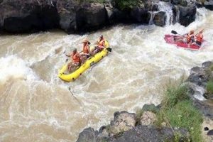 Experience Thrilling White Water Rafting in Vietnam Now! | Your Ultimate Guide to Rafting Adventures, Gear & River Trips