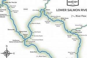 Guide to Lower Salmon River Rafting Trips & Adventures | Your Ultimate Guide to Rafting Adventures, Gear & River Trips