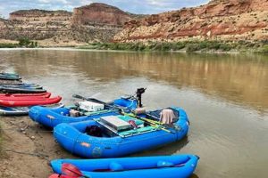 Experience River Rafting Grand Junction, CO: Adventure Awaits! | Your Ultimate Guide to Rafting Adventures, Gear & River Trips