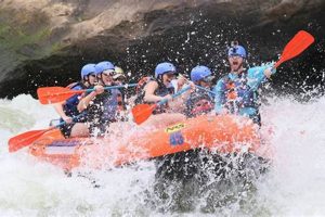 The Best in Whitewater Rafting: [Your Destination] & Beyond | Your Ultimate Guide to Rafting Adventures, Gear & River Trips