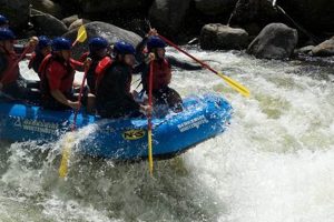 Thrilling Berkshire East Whitewater Rafting Adventures! | Your Ultimate Guide to Rafting Adventures, Gear & River Trips
