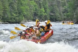 Thrilling Northeast Whitewater Rafting & Moose Tours Adventure! | Your Ultimate Guide to Rafting Adventures, Gear & River Trips