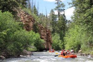 Guide to Rafting Telluride CO | Rapids & Fun | Your Ultimate Guide to Rafting Adventures, Gear & River Trips