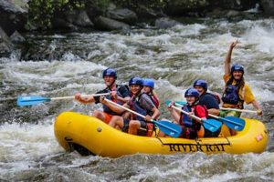Your Rat River Rafting Adventure: [Location] Thrills! | Your Ultimate Guide to Rafting Adventures, Gear & River Trips