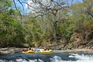 Thrilling Tenorio River White Water Rafting Adventure! | Your Ultimate Guide to Rafting Adventures, Gear & River Trips