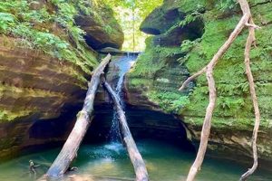Your Starved Rock Water Rafting Adventure Awaits! | Your Ultimate Guide to Rafting Adventures, Gear & River Trips
