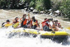 Top-Rated Whitewater Rafting LLC Reviews: Find the Best Trip | Your Ultimate Guide to Rafting Adventures, Gear & River Trips