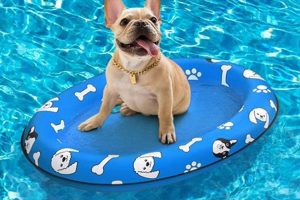 Best Dog Water Raft: Fun in the Water For Your Dog! Your Ultimate Guide to Rafting Adventures, Gear & River Trips Best Dog Water Raft: Fun in the Water For Your Dog! | Your Ultimate Guide to Rafting Adventures, Gear & River Trips