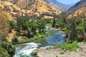 Your Kings River Rafting Adventure Awaits! | Your Ultimate Guide to Rafting Adventures, Gear & River Trips