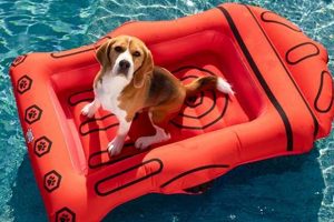 Top Inflatable Raft for Dogs: Safe Water Fun! | Your Ultimate Guide to Rafting Adventures, Gear & River Trips