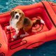 Top Inflatable Raft for Dogs: Safe Water Fun! | Your Ultimate Guide to Rafting Adventures, Gear & River Trips
