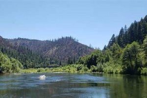 Plan Your Klamath River Rafting Adventure! Trips & Tips | Your Ultimate Guide to Rafting Adventures, Gear & River Trips