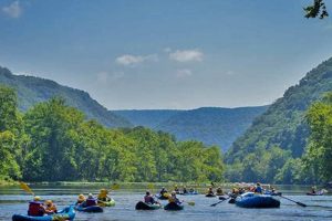 Best West Virginia Rafting Trips: Your Adventure Awaits! | Your Ultimate Guide to Rafting Adventures, Gear & River Trips