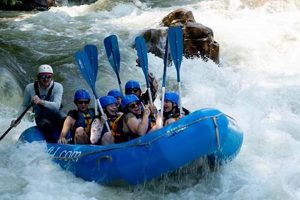 Solo Raft One Ocoee River: Adventure Guide & Tips | Your Ultimate Guide to Rafting Adventures, Gear & River Trips