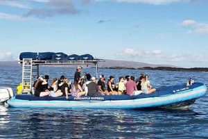 Experience Blue Water Rafting in Maui's Waters! | Your Ultimate Guide to Rafting Adventures, Gear & River Trips