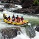Thrilling White Water Rafting Australia Adventures + Tips | Your Ultimate Guide to Rafting Adventures, Gear & River Trips
