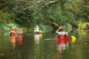 Enjoy Russian River Rafting: Tips & Trips on the River | Your Ultimate Guide to Rafting Adventures, Gear & River Trips